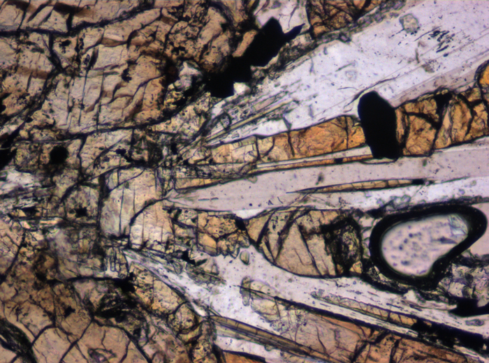 Thin Section Photograph of Apollo 12 Sample 12055,7 in Plane-Polarized Light at 10x Magnification and 0.7 mm Field of View (View #6)