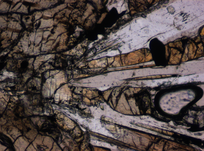 Thin Section Photograph of Apollo 12 Sample 12055,7 in Plane-Polarized Light at 10x Magnification and 0.7 mm Field of View (View #6)