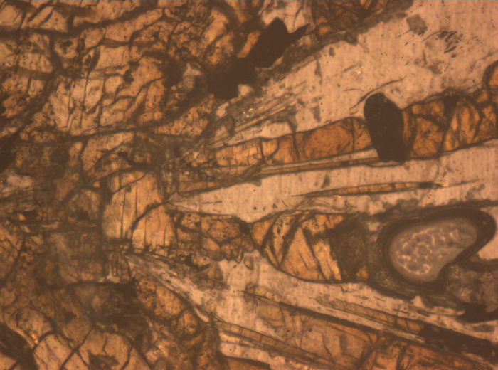 Thin Section Photograph of Apollo 12 Sample 12055,7 in Reflected Light at 10x Magnification and 0.7 mm Field of View (View #6)