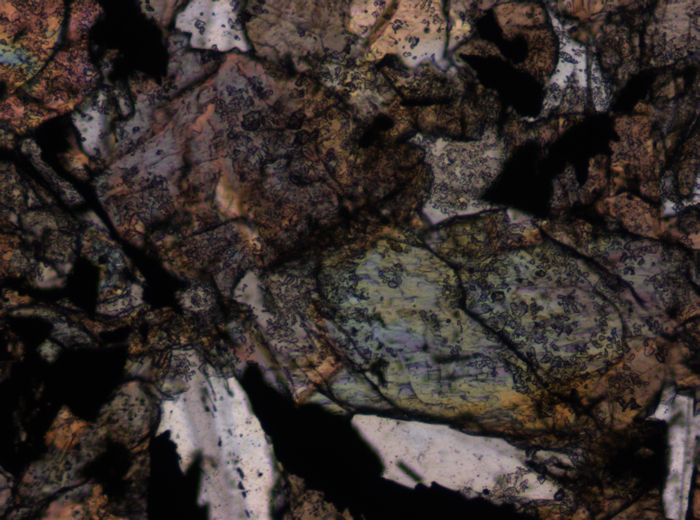 Thin Section Photograph of Apollo 12 Sample 12063,11 in Plane-Polarized Light at 10x Magnification and 0.7 mm Field of View (View #3)