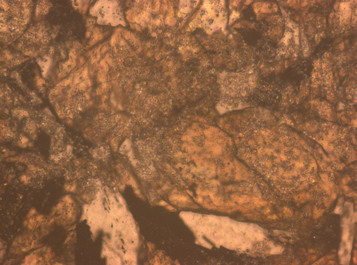 Thin Section Photograph of Apollo 12 Sample 12063,11 in Reflected Light at 10x Magnification and 0.7 mm Field of View (View #3)