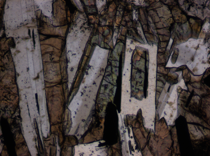 Thin Section Photograph of Apollo 12 Sample 12063,11 in Plane-Polarized Light at 10x Magnification and 0.7 mm Field of View (View #4)