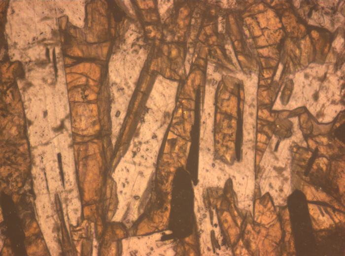 Thin Section Photograph of Apollo 12 Sample 12063,11 in Reflected Light at 10x Magnification and 0.7 mm Field of View (View #4)