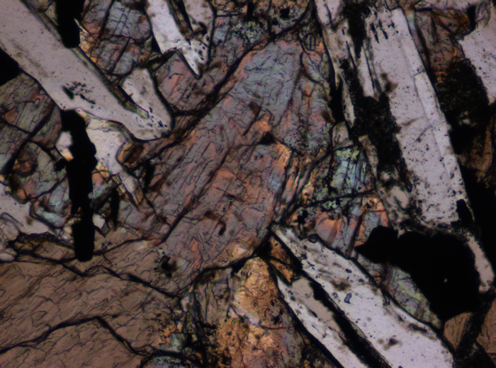 Thin Section Photograph of Apollo 12 Sample 12063,11 in Plane-Polarized Light at 10x Magnification and 0.7 mm Field of View (View #5)