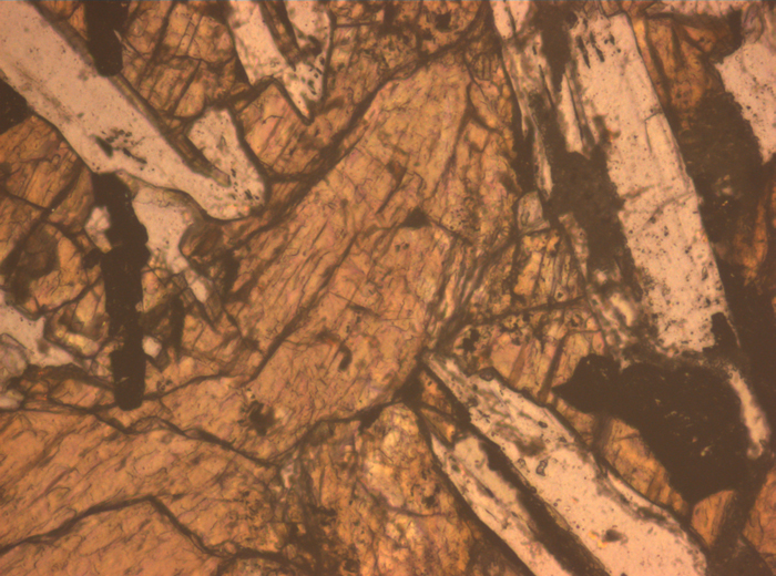 Thin Section Photograph of Apollo 12 Sample 12063,11 in Reflected Light at 10x Magnification and 0.7 mm Field of View (View #5)