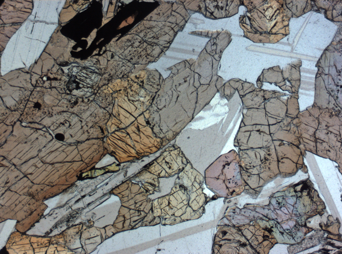 Thin Section Photograph of Apollo 12 Sample 12064,6 in Plane-Polarized Light at 2.5x Magnification and 2.85 mm Field of View (View #2)