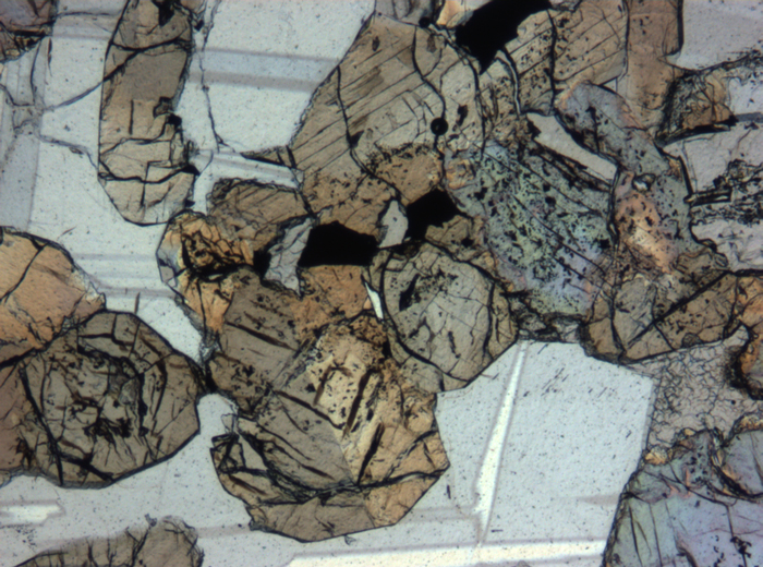 Thin Section Photograph of Apollo 12 Sample 12064,6 in Plane-Polarized Light at 5x Magnification and 1.4 mm Field of View (View #5)