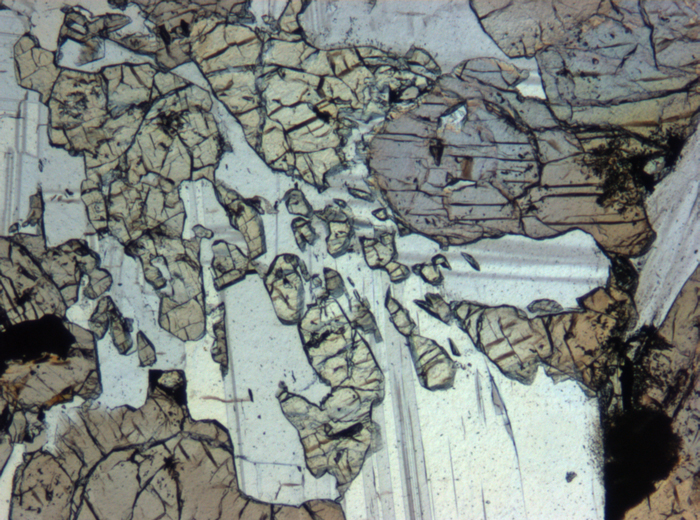 Thin Section Photograph of Apollo 12 Sample 12064,6 in Plane-Polarized Light at 5x Magnification and 1.4 mm Field of View (View #6)