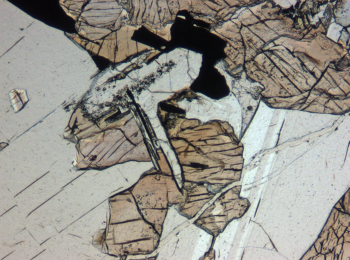 Thin Section Photograph of Apollo 12 Sample 12064,6 in Plane-Polarized Light at 5x Magnification and 1.4 mm Field of View (View #7)