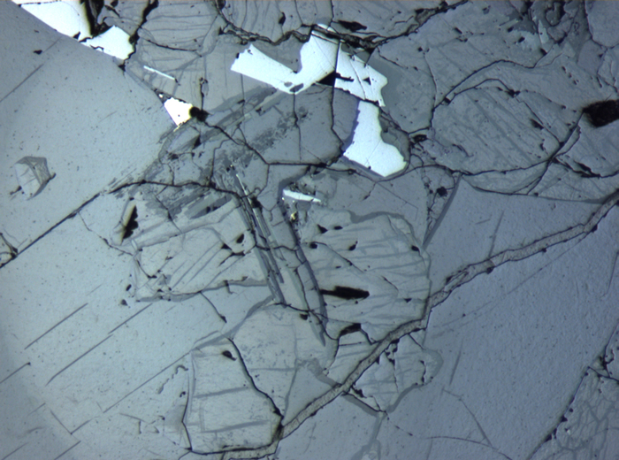 Thin Section Photograph of Apollo 12 Sample 12064,6 in Reflected Light at 5x Magnification and 1.4 mm Field of View (View #7)