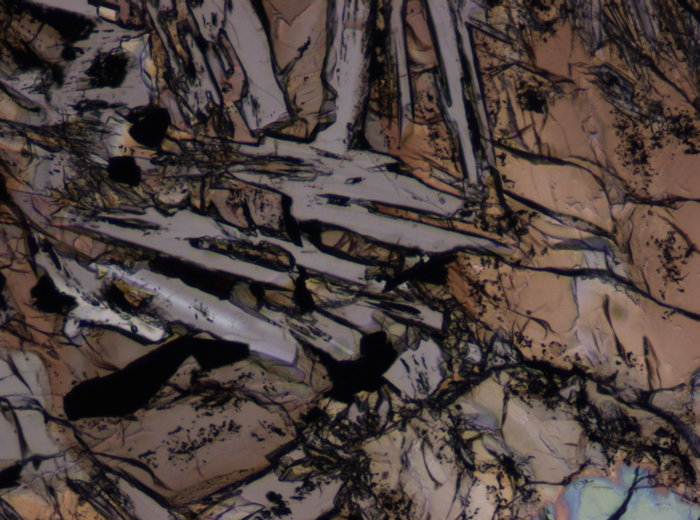 Thin Section Photograph of Apollo 12 Sample 12075,80 in Plane-Polarized Light at 10x Magnification and 0.7 mm Field of View (View #4)