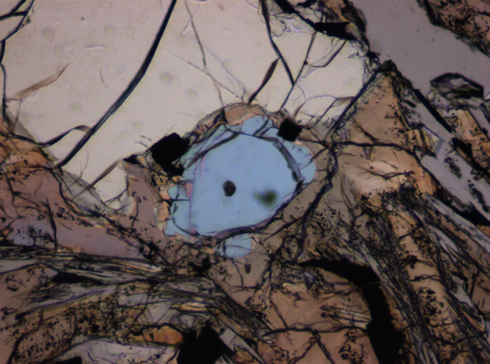 Thin Section Photograph of Apollo 12 Sample 12075,80 in Plane-Polarized Light at 10x Magnification and 0.7 mm Field of View (View #5)