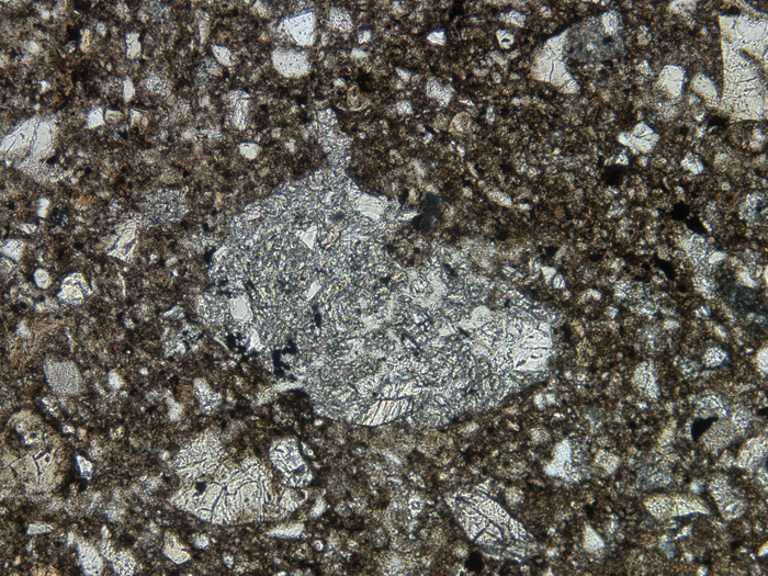 Thin Section Photograph of Apollo 14 Sample 14047,50 in Plane-Polarized Light at 10x Magnification and 1.15 mm Field of View (View #5)