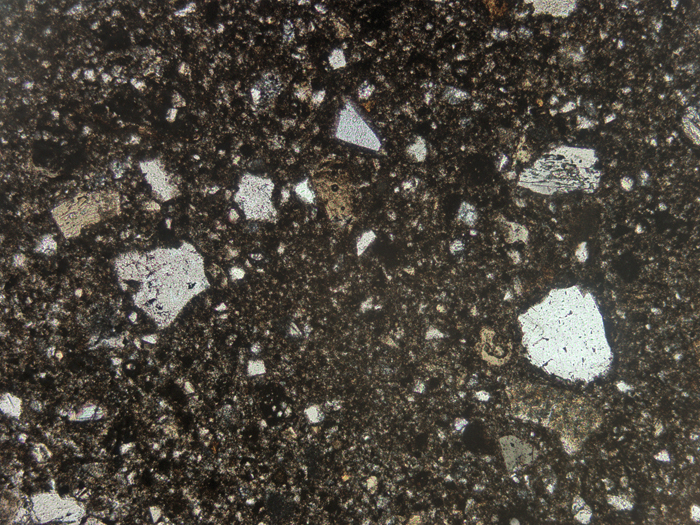 Thin Section Photograph of Apollo 14 Sample 14049,6 in Plane-Polarized Light at 5x Magnification and 2.3 mm Field of View (View #1)
