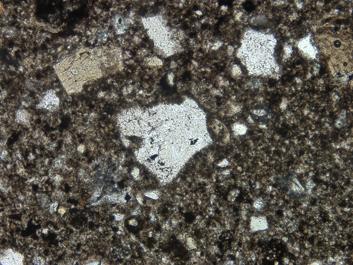Thin Section Photograph of Apollo 14 Sample 14049,6 in Plane-Polarized Light at 10x Magnification and 1.15 mm Field of View (View #3)