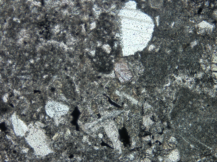 Thin Section Photograph of Apollo 14 Sample 14305,14 in Plane-Polarized Light at 10x Magnification and 1.15 mm Field of View (View #4)