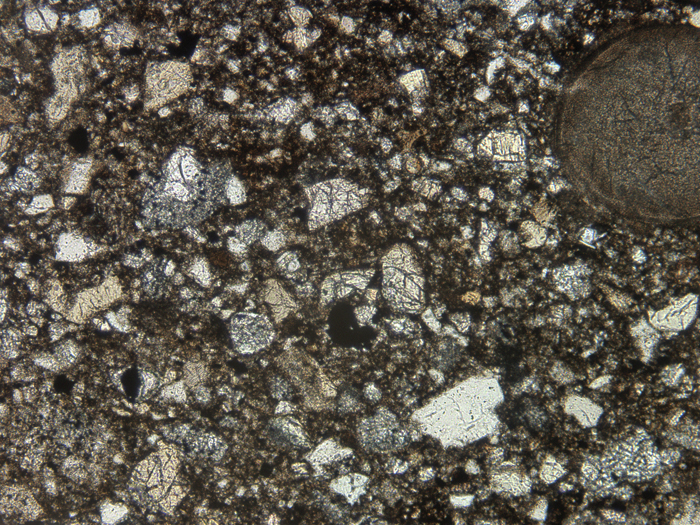 Thin Section Photograph of Apollo 14 Sample 14307,9 in Plane-Polarized Light at 10x Magnification and 1.15 mm Field of View (View #2)