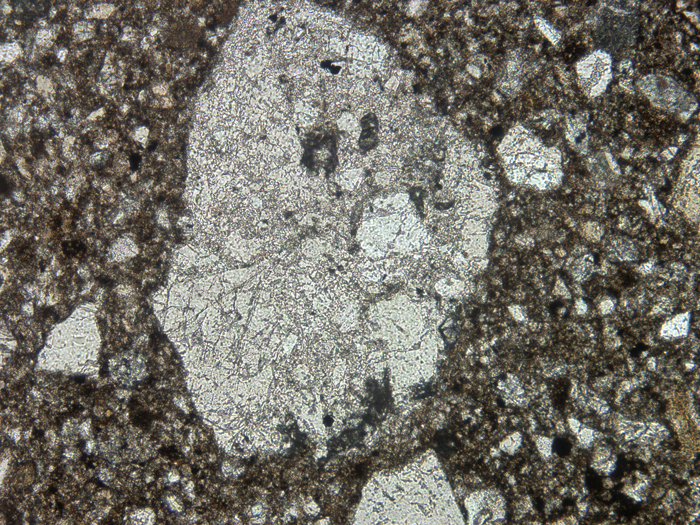 Thin Section Photograph of Apollo 14 Sample 14313,40 in Plane-Polarized Light at 10x Magnification and 1.15 mm Field of View (View #5)