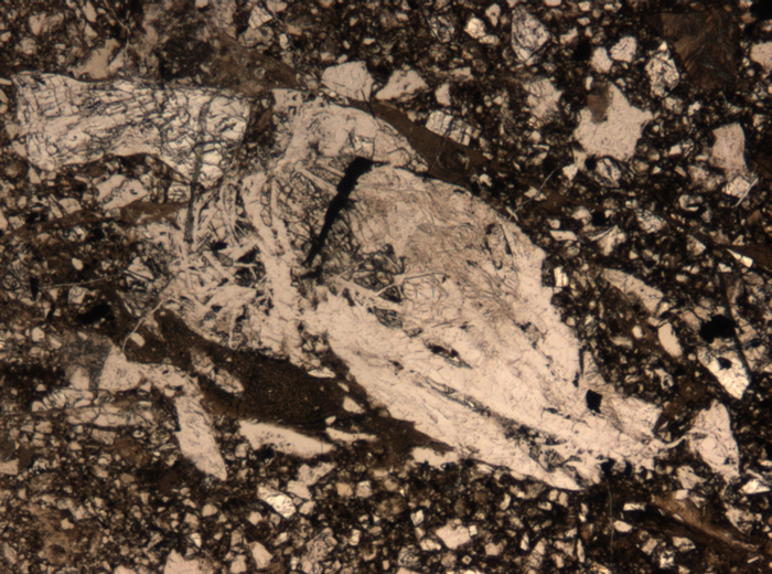 Thin Section Photograph of Apollo 15 Sample 15059,44 in Plane-Polarized Light at 5x Magnification and 1.4 mm Field of View (View #3)