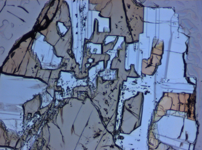 Thin Section Photograph of Apollo 15 Sample 15075,42 in Plane-Polarized Light at 10x Magnification and 0.7 mm Field of View (View #5)