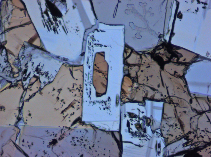 Thin Section Photograph of Apollo 15 Sample 15075,42 in Plane-Polarized Light at 10x Magnification and 0.7 mm Field of View (View #6)
