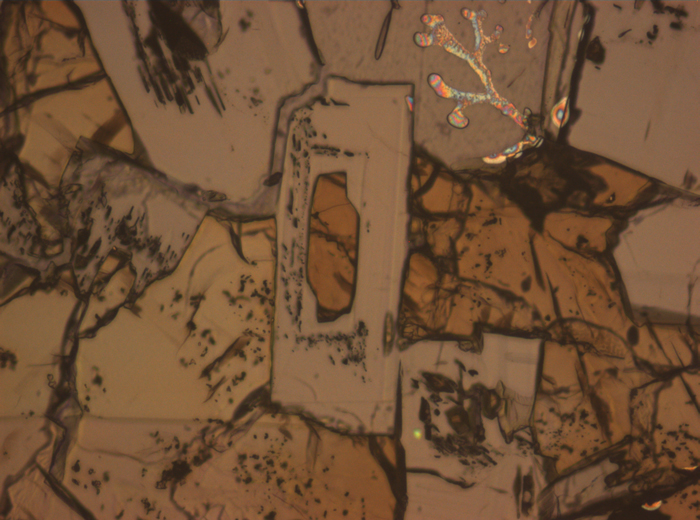 Thin Section Photograph of Apollo 15 Sample 15075,42 in Reflected Light at 10x Magnification and 0.7 mm Field of View (View #6)