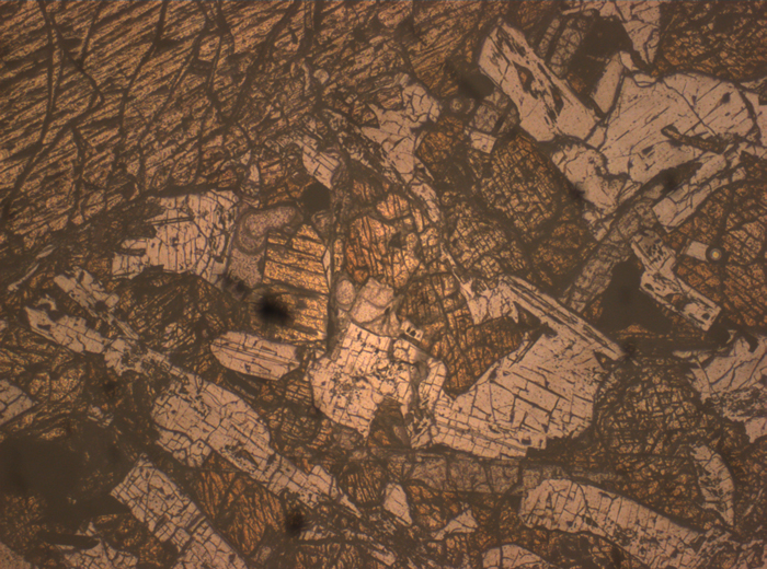 Thin Section Photograph of Apollo 15 Sample 15076,66 in Reflected Light at 2.5x Magnification and 2.85 mm Field of View (View #3)
