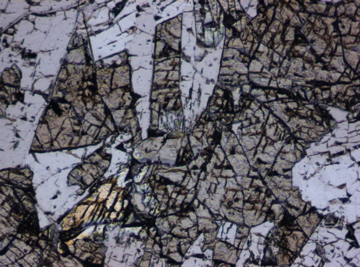 Thin Section Photograph of Apollo 15 Sample 15076,66 in Plane-Polarized Light at 10x Magnification and 0.7 mm Field of View (View #6)