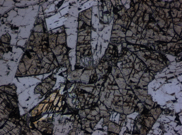 Thin Section Photograph of Apollo 15 Sample 15076,66 in Plane-Polarized Light at 10x Magnification and 0.7 mm Field of View (View #6)