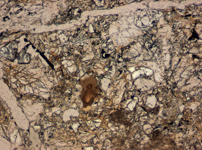 Thin Section Photograph of Apollo 15 Sample 15095,4 in Plane-Polarized Light at 10x Magnification and 0.7 mm Field of View (View #2)