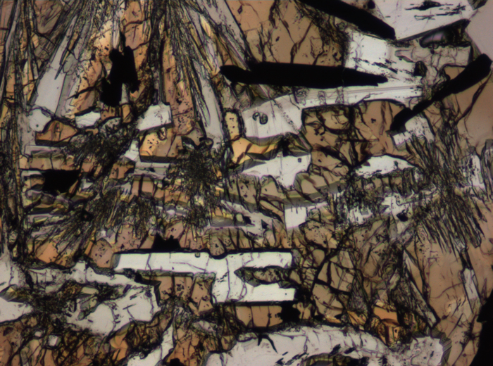 Thin Section Photograph of Apollo 15 Sample 15118,18 in Plane-Polarized Light at 10x Magnification and 0.7 mm Field of View (View #4)