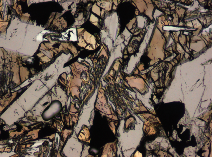 Thin Section Photograph of Apollo 15 Sample 15118,18 in Plane-Polarized Light at 10x Magnification and 0.7 mm Field of View (View #5)