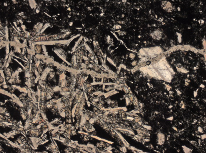 Thin Section Photograph of Apollo 15 Sample 15205,123 in Plane-Polarized Light at 2.5x Magnification and 2.85 mm Field of View (View #1)