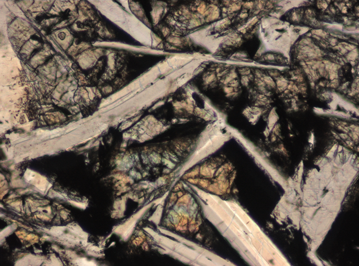 Thin Section Photograph of Apollo 15 Sample 15205,123 in Plane-Polarized Light at 10x Magnification and 0.7 mm Field of View (View #5)