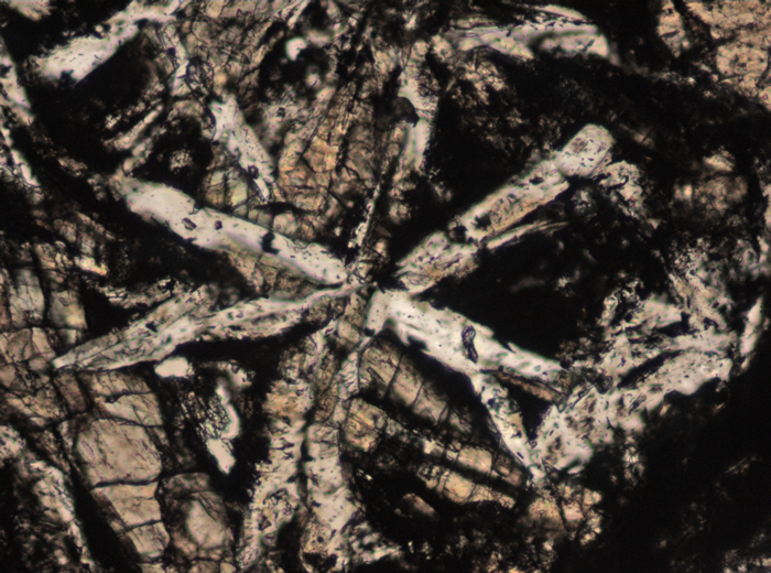 Thin Section Photograph of Apollo 15 Sample 15206,31 in Plane-Polarized Light at 10x Magnification and 0.7 mm Field of View (View #3)