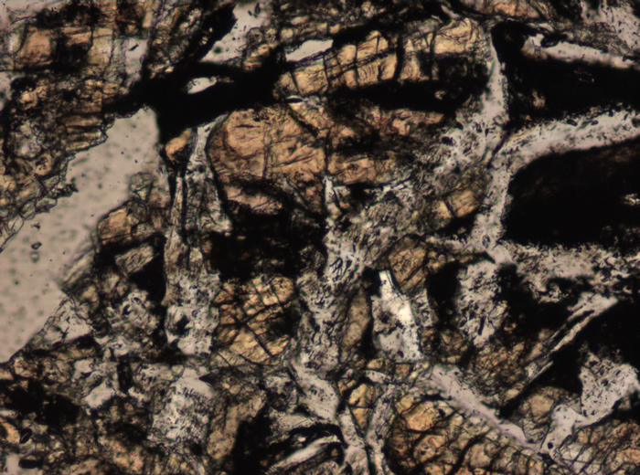 Thin Section Photograph of Apollo 15 Sample 15206,31 in Plane-Polarized Light at 10x Magnification and 0.7 mm Field of View (View #4)