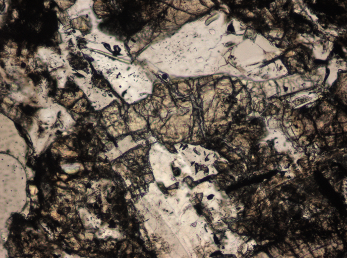 Thin Section Photograph of Apollo 15 Sample 15206,31 in Plane-Polarized Light at 10x Magnification and 0.7 mm Field of View (View #5)