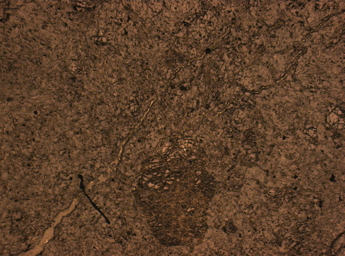 Thin Section Photograph of Apollo 15 Sample 15256,20 in Reflected Light at 2.5x Magnification and 2.85 mm Field of View (View #1)