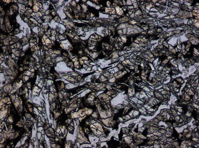 Thin Section Photograph of Apollo 15 Sample 15256,20 in Plane-Polarized Light at 10x Magnification and 0.7 mm Field of View (View #3)