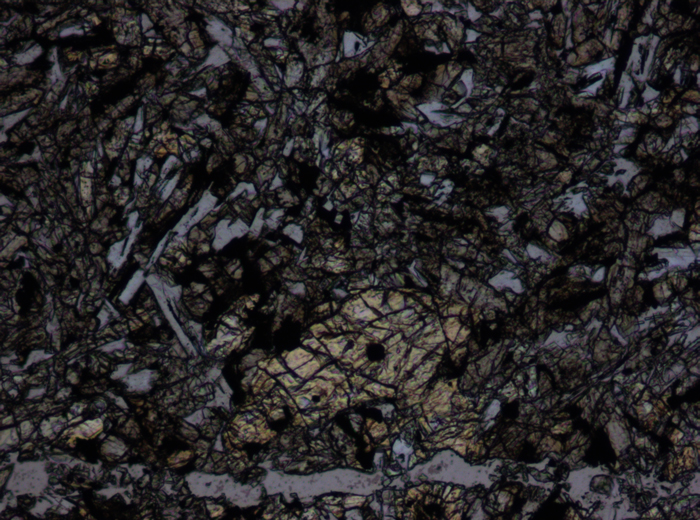 Thin Section Photograph of Apollo 15 Sample 15256,20 in Plane-Polarized Light at 10x Magnification and 0.7 mm Field of View (View #4)
