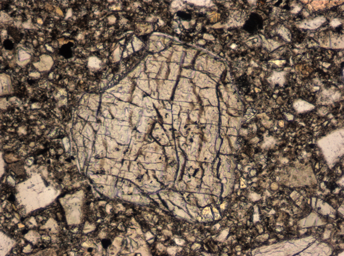 Thin Section Photograph of Apollo 15 Sample 15265,11 in Plane-Polarized Light at 10x Magnification and 0.7 mm Field of View (View #4)