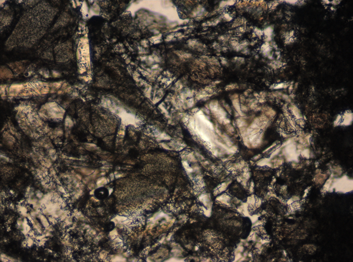 Thin Section Photograph of Apollo 15 Sample 15405,147 in Plane-Polarized Light at 10x Magnification and 0.7 mm Field of View (View #3)