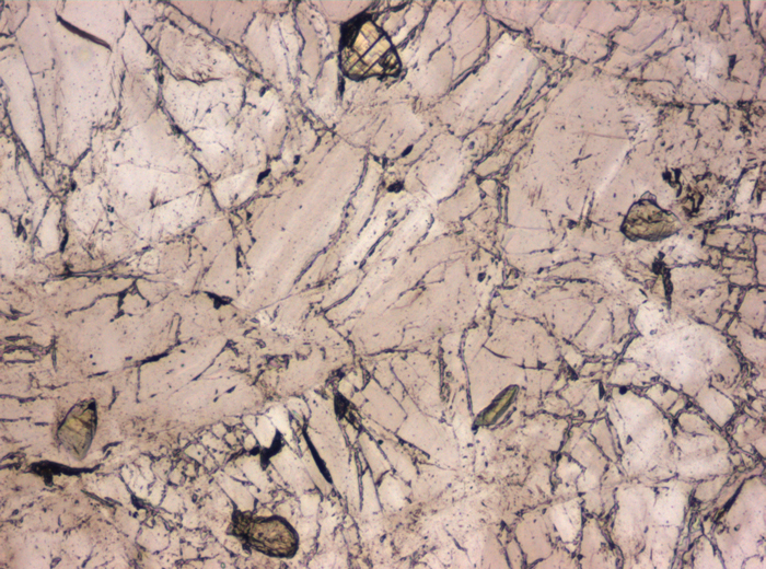 Thin Section Photograph of Apollo 15 Sample 15415,16 in Plane-Polarized Light at 10x Magnification and 0.7 mm Field of View (View #4)
