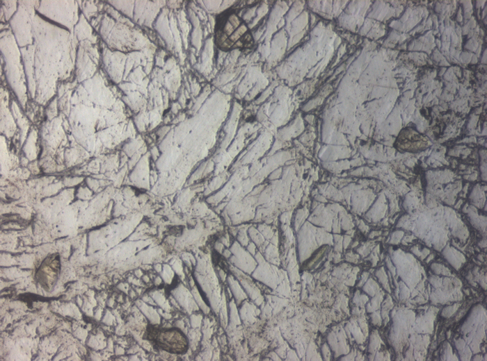 Thin Section Photograph of Apollo 15 Sample 15415,16 in Reflected Light at 10x Magnification and 0.7 mm Field of View (View #4)