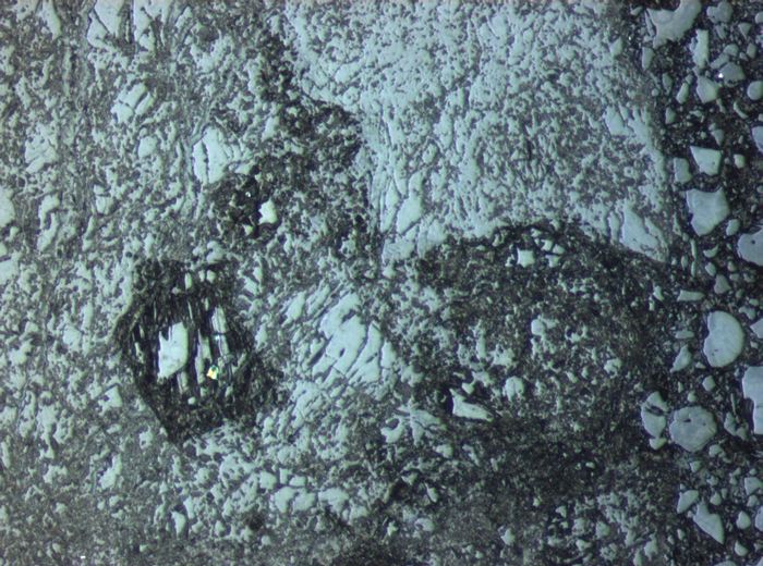 Thin Section Photograph of Apollo 15 Sample 15425,10 in Reflected Light at 10x Magnification and 0.7 mm Field of View (View #7)