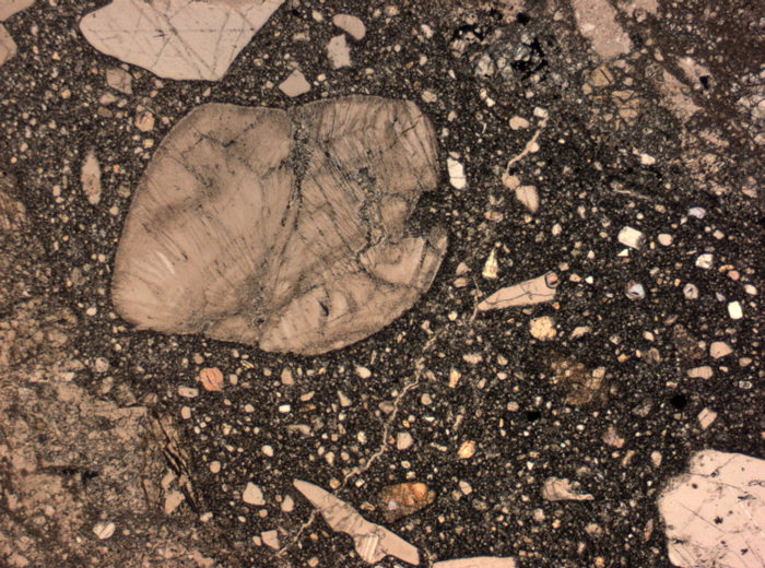 Thin Section Photograph of Apollo 15 Sample 15455,25 in Plane-Polarized Light at 2.5x Magnification and 2.85 mm Field of View (View #2)