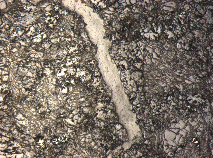 Thin Section Photograph of Apollo 15 Sample 15459,13 in Reflected Light at 5x Magnification and 1.4 mm Field of View (View #3)
