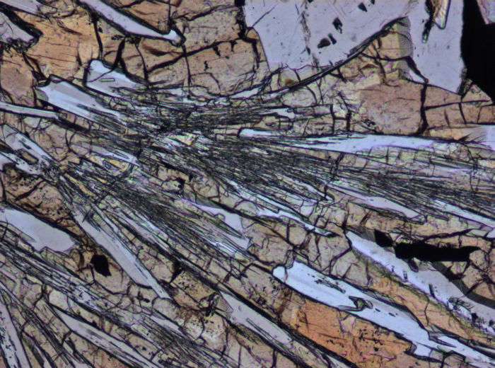 Thin Section Photograph of Apollo 15 Sample 15476,35 in Plane-Polarized Light at 10x Magnification and 0.7 mm Field of View (View #3)