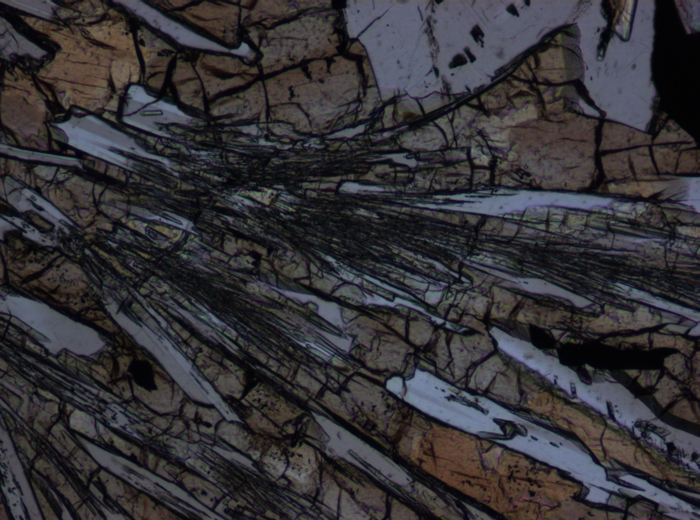 Thin Section Photograph of Apollo 15 Sample 15476,35 in Plane-Polarized Light at 10x Magnification and 0.7 mm Field of View (View #3)