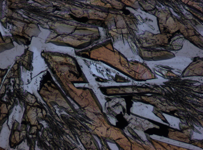 Thin Section Photograph of Apollo 15 Sample 15476,35 in Plane-Polarized Light at 10x Magnification and 0.7 mm Field of View (View #5)